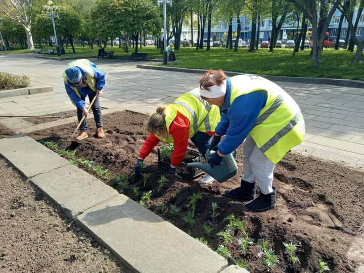 інспекція з благоустрою населеного пункту