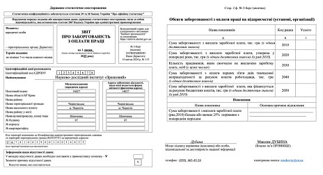 Зразок заповнення звіту № 3-борг — якщо зарплатного боргу немає
