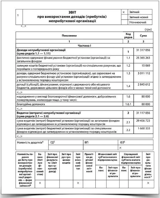 Зразок звіту неприбуткових організацій