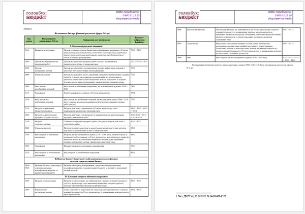 Бланки фінансової звітності