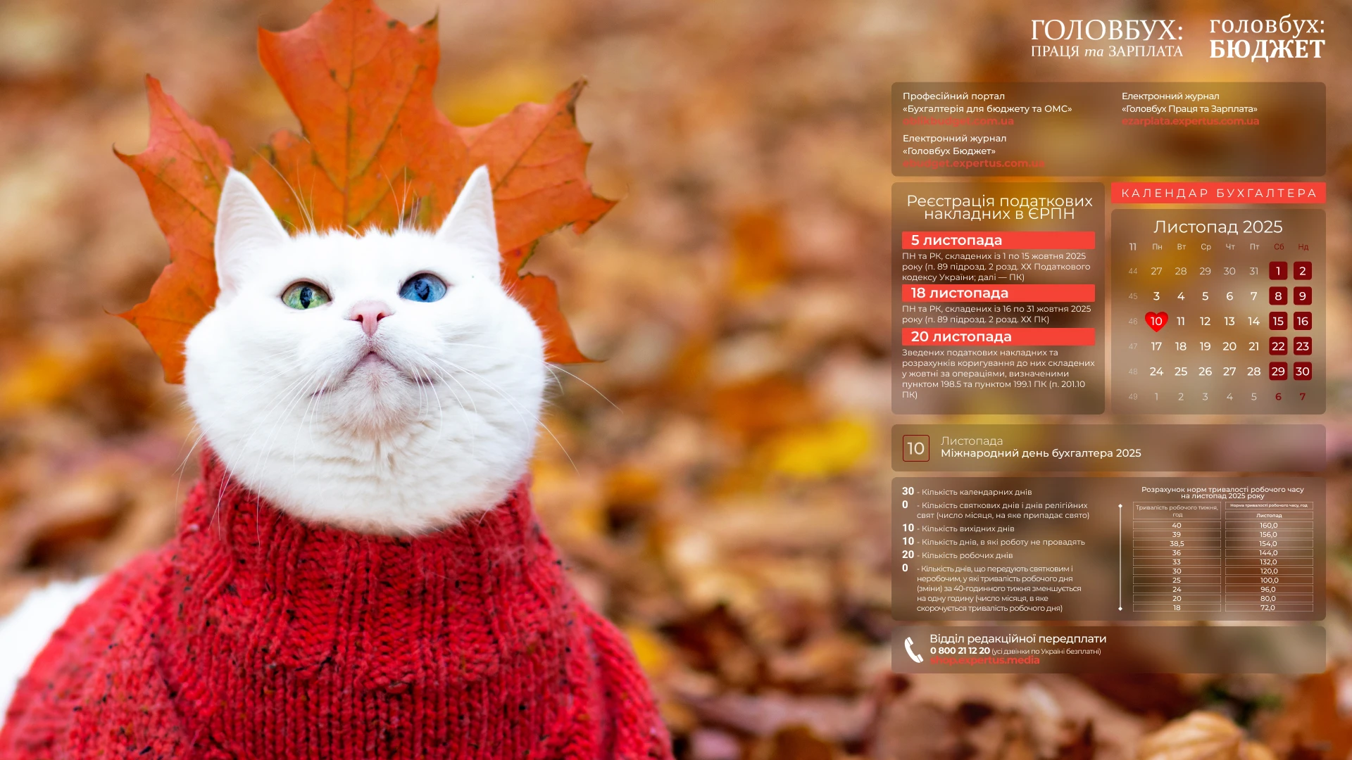 Листопад бухгалтера 2025: заставки для робочого стола