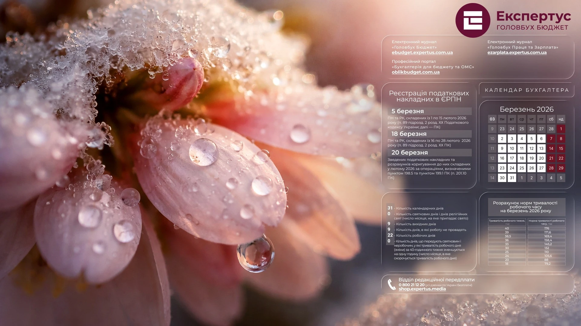 Березень бухгалтера 2026: заставки для робочого стола