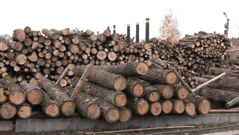 бухоблік безплатних дров для населення