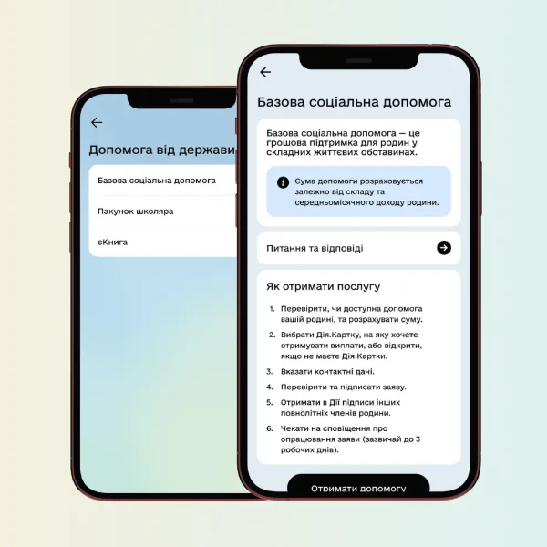 Базова соціальна допомога у «Дії»: алгоритм оформлення