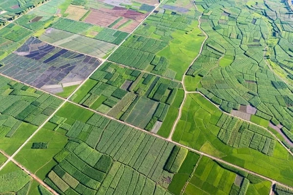 які ділянки не оподатковують земельним податком