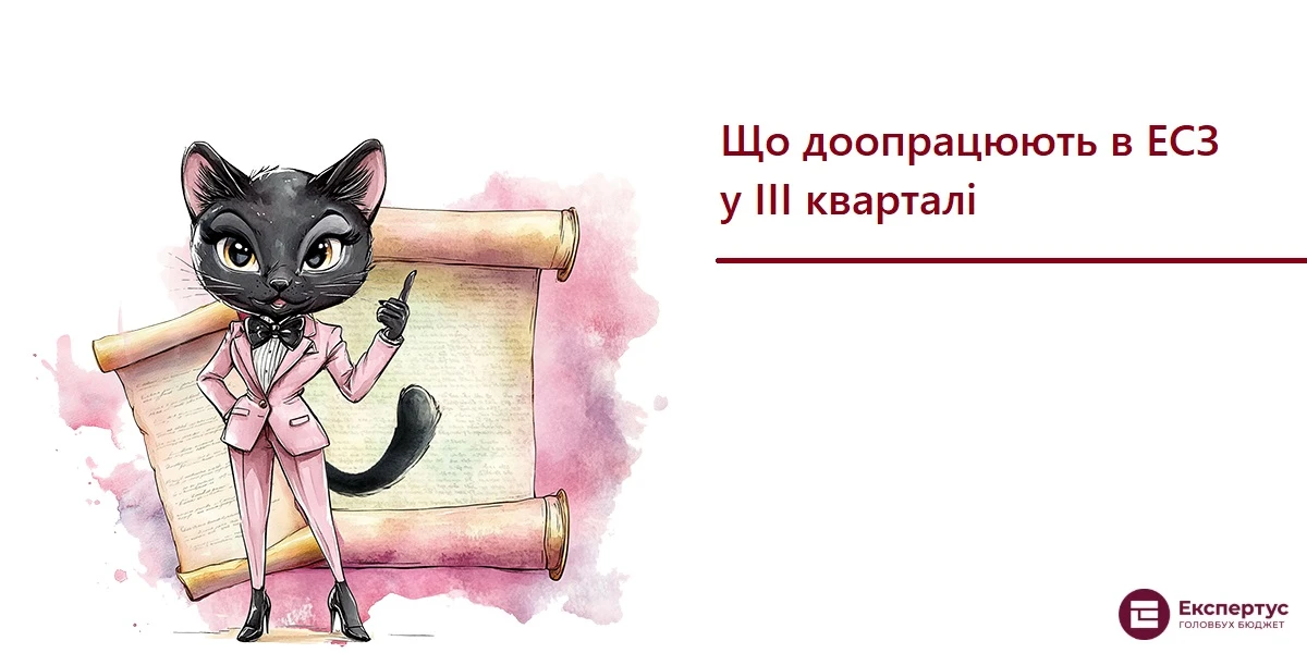 Що доопрацюють в ЕСЗ у ІІІ кварталі
