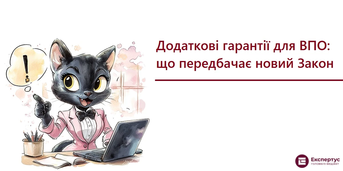 Додаткові гарантії для ВПО: що передбачає новий Закон
