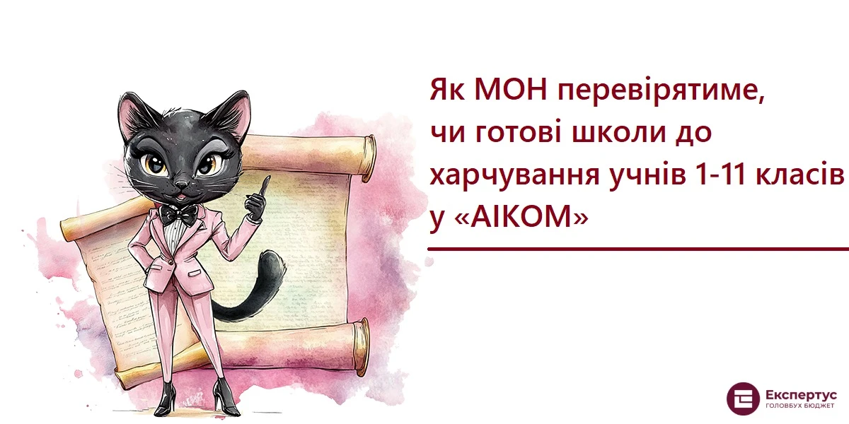 Як МОН перевірятиме, чи готові школи до харчування учнів 1-11 класів у АІКОМ
