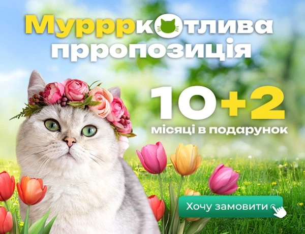 🐱 Муррркотлива пропозиція для бухгалтерів бюджетників