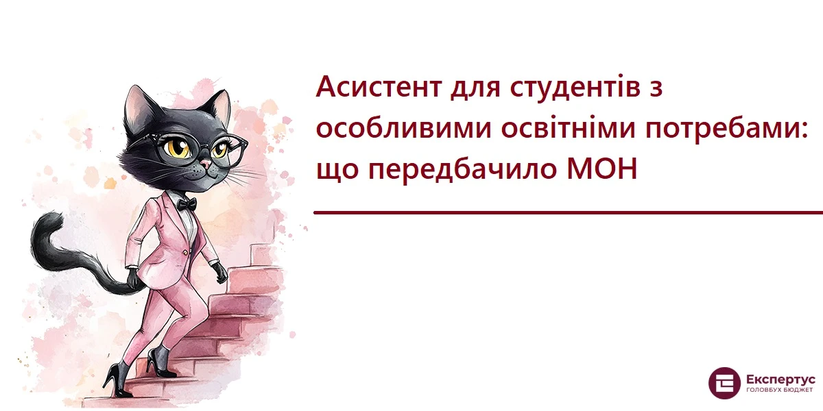 Асистент для студентів з особливими освітніми потребами: що передбачило МОН