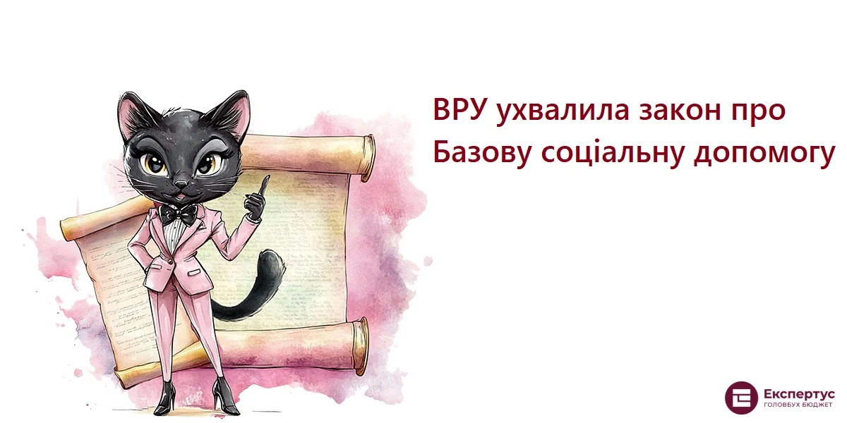 ВРУ ухвалила закон про Базову соціальну допомогу