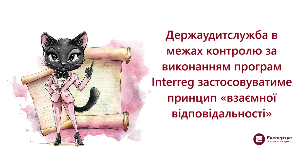 Держаудитслужба в межах контролю за виконанням програм Interreg застосовуватиме принцип «взаємної відповідальності»