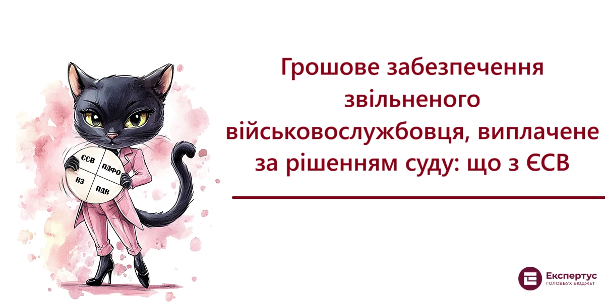Грошове забезпечення звільненого військовослужбовця, виплачене за рішенням суду: що з ЄСВ