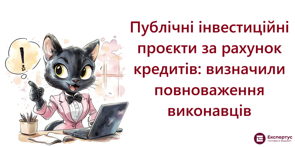 Публічні інвестиційні проєкти за рахунок кредитів: визначили повноваження виконавців