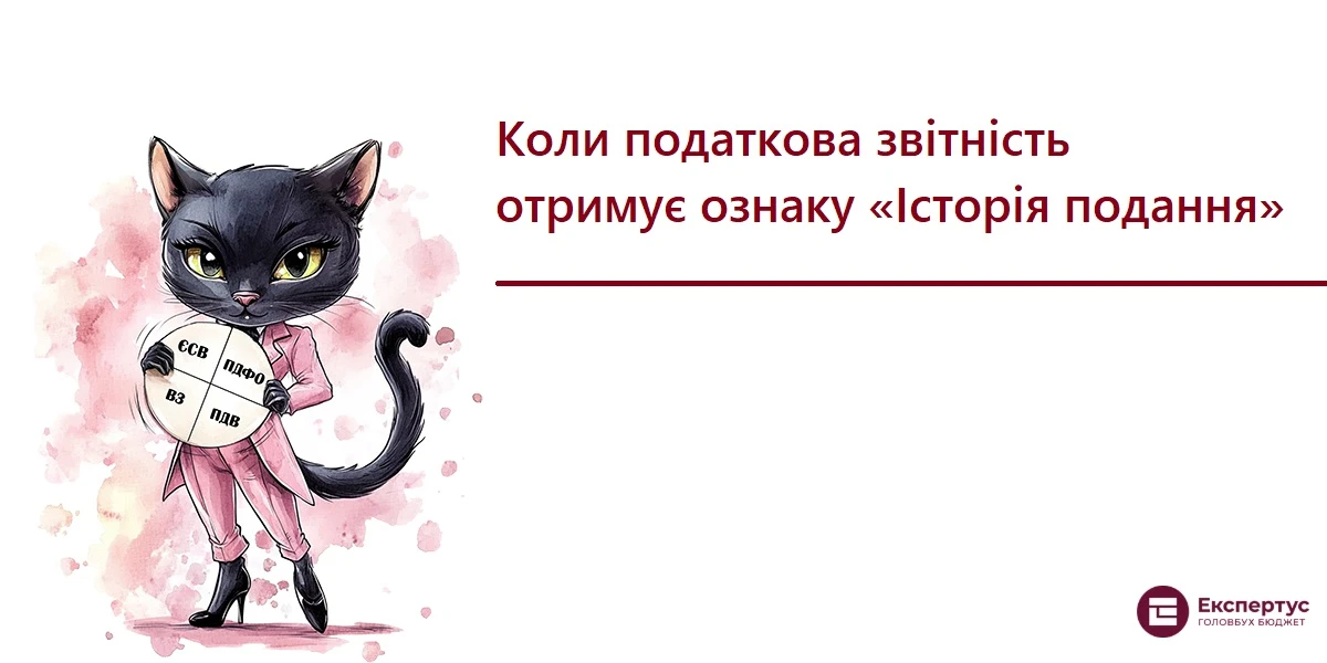 Коли податкова звітність отримує ознаку Історія подання