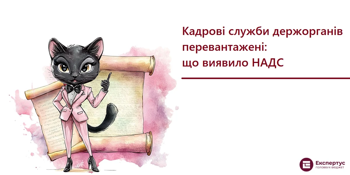 Кадрові служби держорганів перевантажені: що виявило НАДС