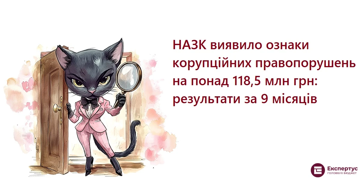 НАЗК виявило ознаки корупційних правопорушень на понад 118,5 млн грн: результати за 9 місяців