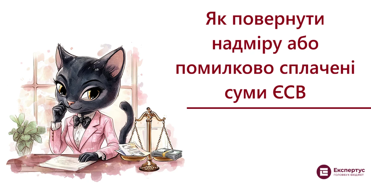Як повернути надміру або помилково сплачені суми ЄСВ