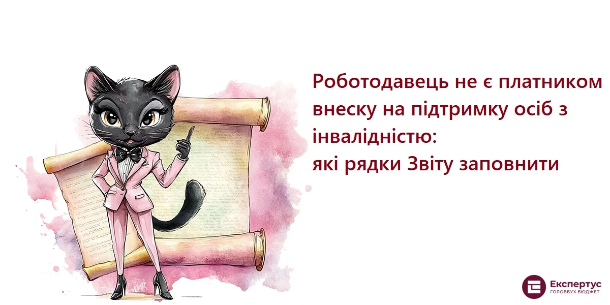 Роботодавець не є платником внеску на підтримку осіб з інвалідністю: які рядки Звіту заповнити