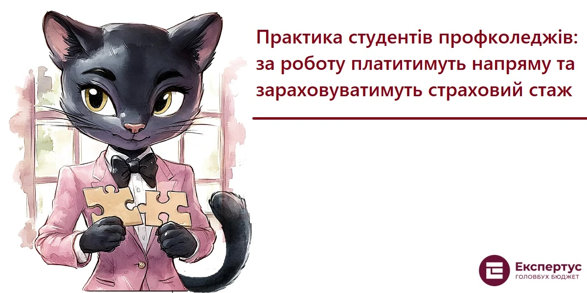 Практика студентів профколеджів: за роботу платитимуть напряму та зараховуватимуть страховий стаж