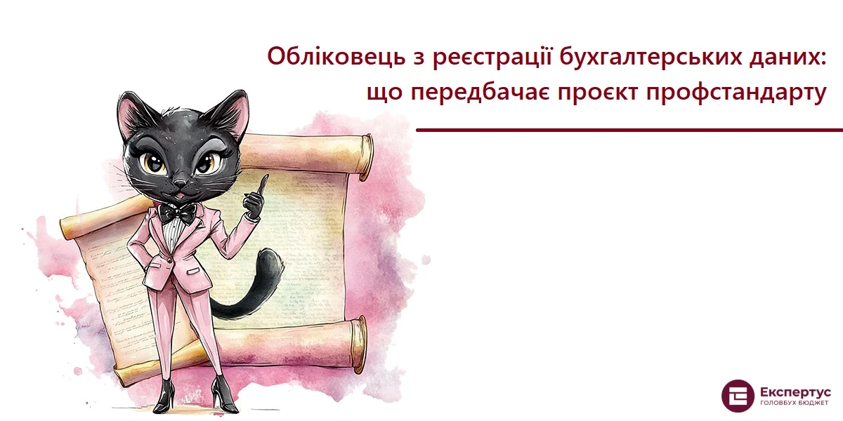 Обліковець з реєстрації бухгалтерських даних: що передбачає проєкт профстандарту