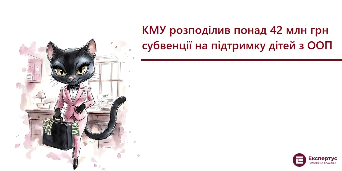 КМУ розподілив понад 42 млн грн субвенції на підтримку дітей з ООП
