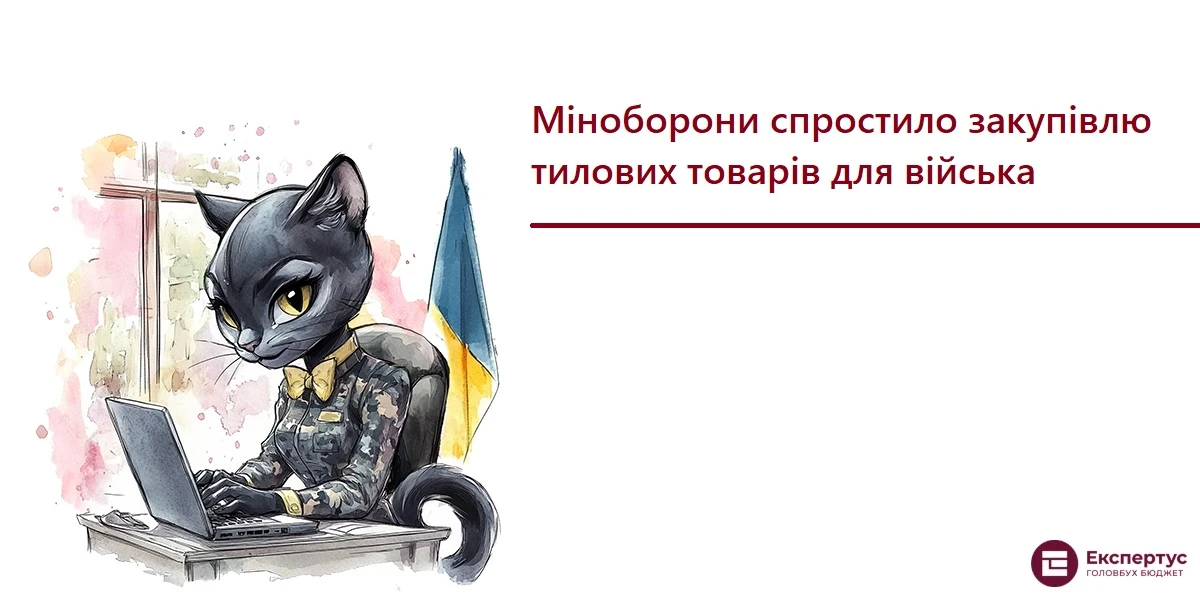 Міноборони спростило закупівлю тилових товарів для війська