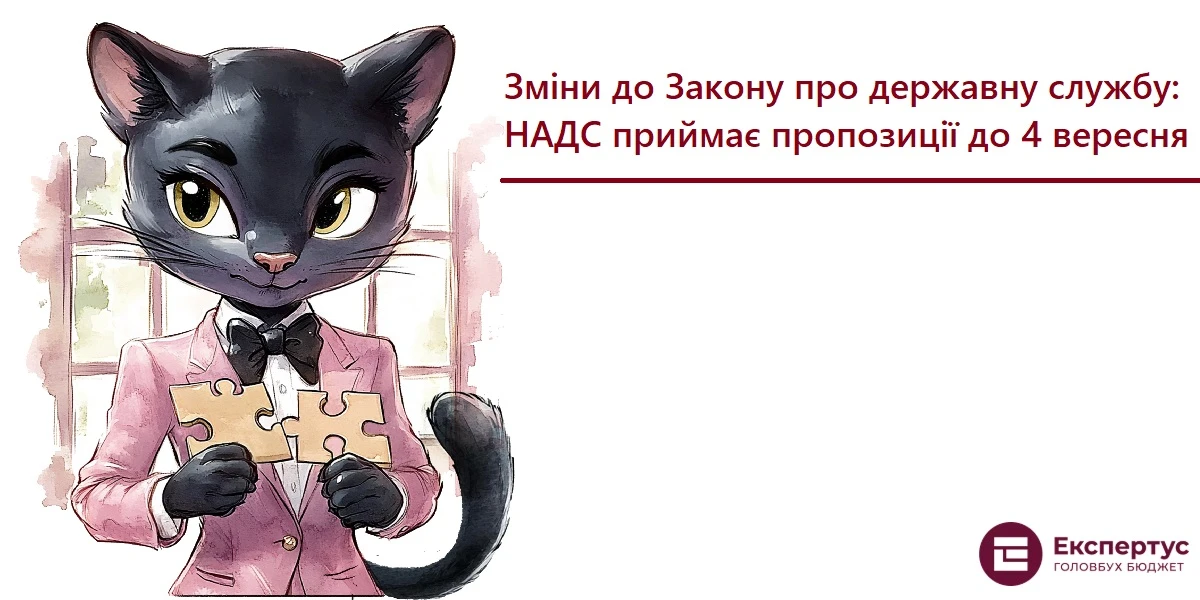 Зміни до Закону про державну службу: НАДС приймає пропозиції до 4 вересня