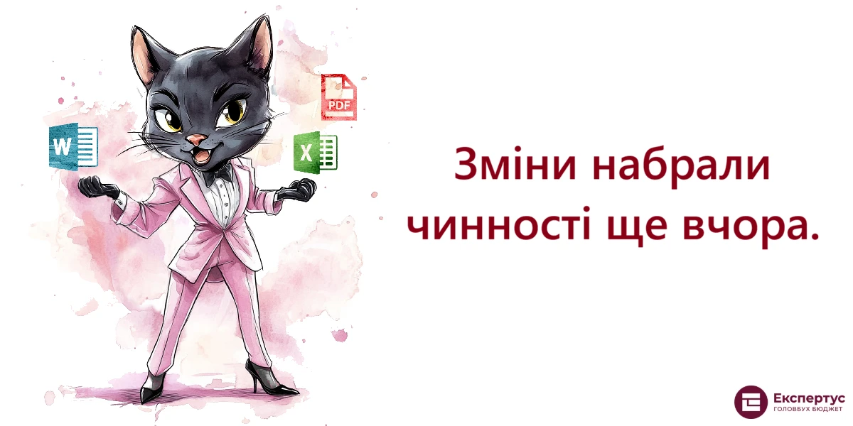 Поки все працює, про бухгалтера не згадують: 5 історій, у яких упізнає себе бухгалтер бюджетної установи