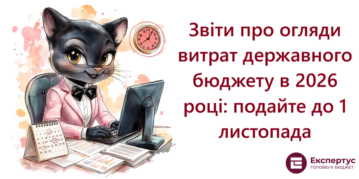 Звіти про огляди витрат державного бюджету в 2026 році: подайте до 1 листопада